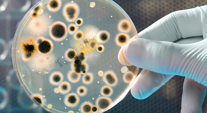 保证实验记录和数据完整性的要求 保证实验记录和数据完整性的要求